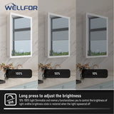 WELLFOR AURORA 24-in x 32-in Lighted LED Fog Free Surface/Recessed Mount Silver Mirrored Soft Close Medicine Cabinet