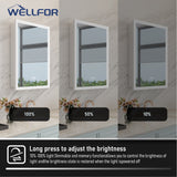 WELLFOR AURORA 24-in x 32-in Lighted LED Fog Free Surface/Recessed Mount Silver Mirrored Soft Close Medicine Cabinet