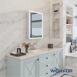 WELLFOR AURORA 24-in x 32-in Lighted LED Fog Free Surface/Recessed Mount Silver Mirrored Soft Close Medicine Cabinet