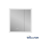 WELLFOR AURORA 30-in x 32-in Lighted LED Fog Free Surface/Recessed Mount Silver Mirrored Soft Close Medicine Cabinet