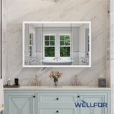WELLFOR AURORA 48-in x 32-in Lighted LED Fog Free Surface/Recessed Mount Silver Mirrored Soft Close Medicine Cabinet