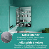ExBrite Ethos 20-in x 32-in Lighted LED Fog Free Surface/Recessed Mount Silver Mirrored Soft Close Medicine Cabinet with Outlet