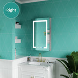ExBrite Ethos 20-in x 32-in Lighted LED Fog Free Surface/Recessed Mount Silver Mirrored Soft Close Medicine Cabinet with Outlet