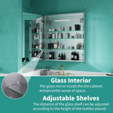 ExBrite Ethos 30-in x 32-in Lighted LED Fog Free Surface/Recessed Mount Silver Mirrored Soft Close Medicine Cabinet with Outlet