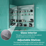ExBrite 30-in x 36-in Lighted LED Fog Free Surface/Recessed Mount Silver Mirrored Soft Close Medicine Cabinet with Outlet