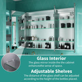 ExBrite Ethos 48-in x 36-in Lighted LED Fog Free Surface/Recessed Mount Silver Mirrored Soft Close Medicine Cabinet with Outlet