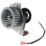Packard 66752 inducer motor - detail view (Type: Shaded Pole; Voltage: 115V)