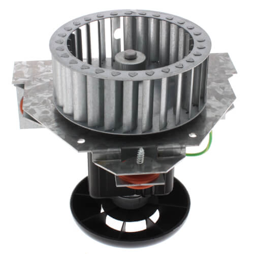 Packard 66752 inducer motor - front view (Type: Shaded Pole; Voltage: 115V)