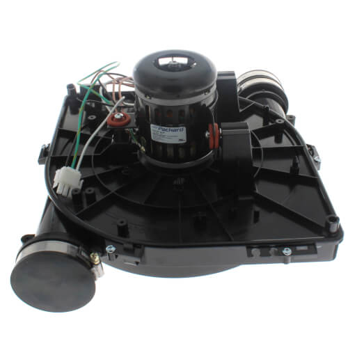 Packard 66756 inducer motor - front view (Type: Permanent Split Capacitor; Voltage: 115V)