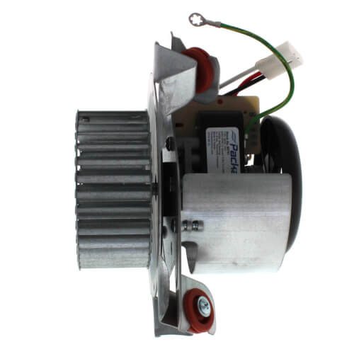 Packard 66761 inducer motor - detail view (Type: Shaded Pole; Voltage: 115V)