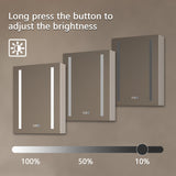 AAZJ V4 20-in x 26-in Lighted LED Fog Free Surface/Recessed Mount Silver Mirrored Medicine Cabinet