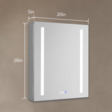 AAZJ V4 20-in x 26-in Lighted LED Fog Free Surface/Recessed Mount Silver Mirrored Medicine Cabinet