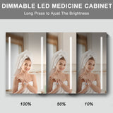 AAZJ 30-in x 20-in LED Fog Free Surface/Recessed Mount Black Mirrored Soft Close Medicine Cabinet