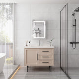 WELLFOR 20-in x 28-in Lighted LED Fog Free Surface Mount Silver Mirrored Soft Close Medicine Cabinet