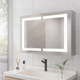 WELLFOR 36-in x 24-in Lighted LED Fog Free Surface Mount Silver Mirrored Soft Close Medicine Cabinet