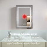 WELLFOR 26-in x 20-in Lighted LED Fog Free Surface/Recessed Mount Silver Mirrored Soft Close Medicine Cabinet