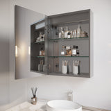 WELLFOR 26-in x 20-in Lighted LED Fog Free Surface/Recessed Mount Silver Mirrored Soft Close Medicine Cabinet