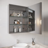 WELLFOR 26-in x 20-in Lighted LED Fog Free Surface/Recessed Mount Silver Mirrored Soft Close Medicine Cabinet