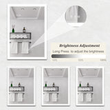 WELLFOR 20-in x 28-in Lighted LED Fog Free Surface Mount Silver Mirrored Soft Close Medicine Cabinet