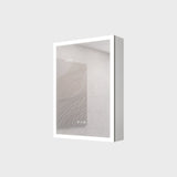 WELLFOR 20-in x 28-in Lighted LED Fog Free Surface Mount Silver Mirrored Soft Close Medicine Cabinet
