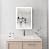 WELLFOR 20-in x 28-in Lighted LED Fog Free Surface Mount Silver Mirrored Soft Close Medicine Cabinet