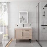 WELLFOR 20-in x 28-in Lighted LED Fog Free Surface Mount Silver Mirrored Soft Close Medicine Cabinet