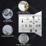 Forclover 24-in x 30-in Lighted LED Fog Free Surface/Recessed Mount Silver Mirrored Soft Close Medicine Cabinet with Outlet