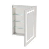 Forclover 24-in x 30-in Lighted LED Fog Free Surface/Recessed Mount Silver Mirrored Soft Close Medicine Cabinet with Outlet