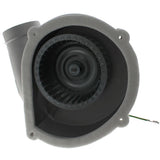 Packard 66847 inducer motor - side view (Type: Shaded Pole; Voltage: 120v)
