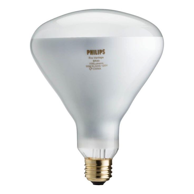 Philips 50-Watt Equivalent Halogen BR40 Flood Light Bulb
