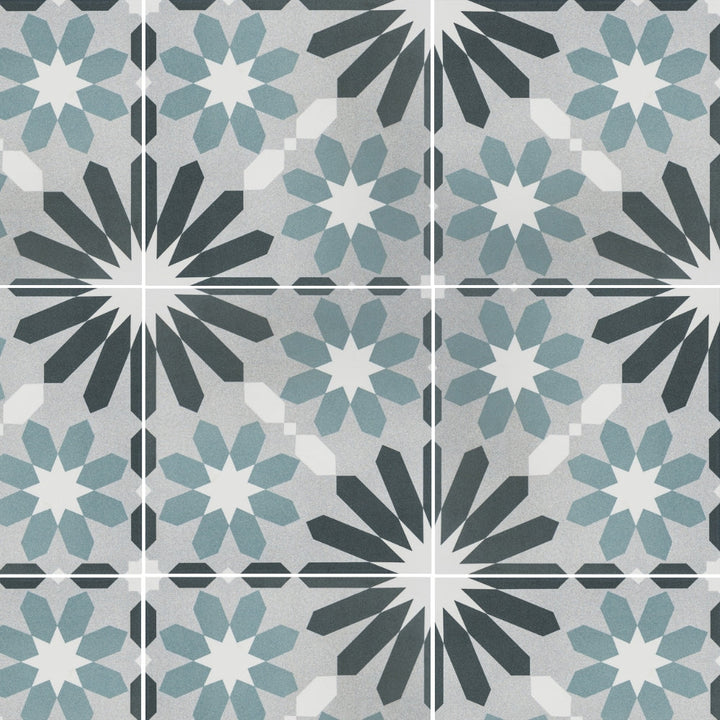 The Tile Life Venice Dosaguas 10-in x 10-in Matte Porcelain Encaustic Floor and Wall Tile product image