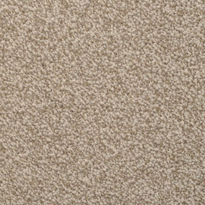 STAINMASTER Signature Pleasant Point Granada Textured Carpet Sample (Interior)