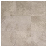 Hastings Gray 12 in. x 12 in. Porcelain Floor and Wall Tile (555.56 sq. ft. / pallet) - Super Arbor