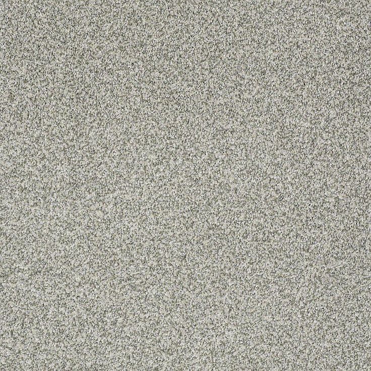 STAINMASTER PetProtect Baxter III Trixie Textured Carpet (Indoor)