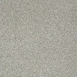 STAINMASTER PetProtect Baxter III Trixie Textured Carpet (Indoor)