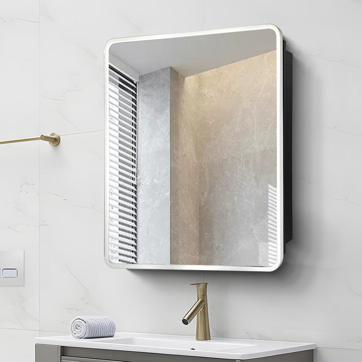 WELLFOR 20-in x 28-in Surface/Recessed Mount Silver Mirrored Medicine Cabinet