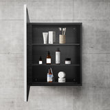 WELLFOR 24-in x 30-in Surface/Recessed Mount Silver Mirrored Medicine Cabinet