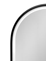 WELLFOR 21-in x 31-in Lighted LED Fog Free Surface Mount Black Mirrored Oval Medicine Cabinet