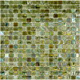 Apollo Tile Skosh Tortilla Brown 11-1/2-in x 11-1/2-in Glossy Glass Uniform Squares Floor and Wall Tile (18.69-sq. ft/ Carton)
