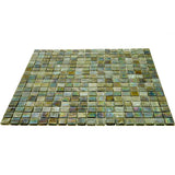 Apollo Tile Skosh Tortilla Brown 11-1/2-in x 11-1/2-in Glossy Glass Uniform Squares Floor and Wall Tile (18.69-sq. ft/ Carton)