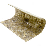 Apollo Tile Skosh Golden Brown 11-1/2-in x 11-1/2-in Glossy Glass Uniform Squares Floor and Wall Tile (18.69-sq. ft/ Carton)