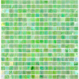 Apollo Tile Skosh British Racing Green 11-1/2-in x 11-1/2-in Glossy Glass Uniform Squares Floor and Wall Tile (18.69-sq. ft/ Carton)