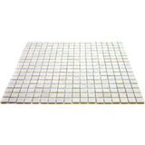 Apollo Tile Skosh Dolphine Gray 11-1/2-in x 11-1/2-in Glossy Glass Uniform Squares Floor and Wall Tile (18.69-sq. ft/ Carton)