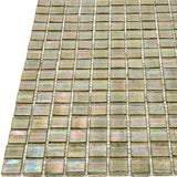 Apollo Tile Skosh Yellowish Gray 11-1/2-in x 11-1/2-in Glossy Glass Uniform Squares Floor and Wall Tile (18.69-sq. ft/ Carton)