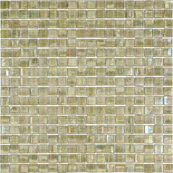 Apollo Tile Skosh Yellowish Gray 11-1/2-in x 11-1/2-in Glossy Glass Uniform Squares Floor and Wall Tile (18.69-sq. ft/ Carton)
