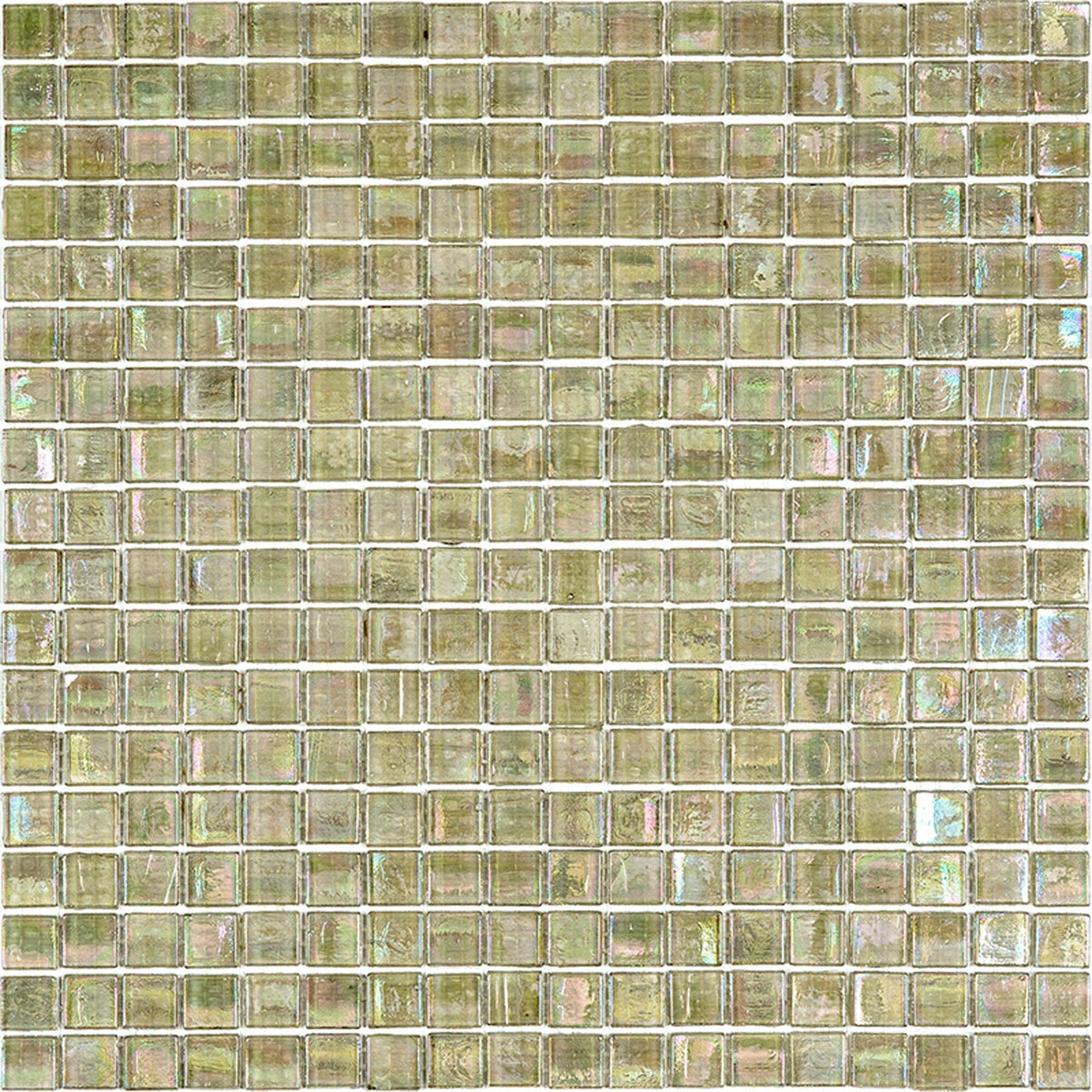 Apollo Tile Skosh Yellowish Gray 11-1/2-in x 11-1/2-in Glossy Glass Uniform Squares Floor and Wall Tile (18.69-sq. ft/ Carton)