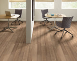 Shaw Westwork Duval Brown 12-mil x 6-in W x 48-in L Waterproof Glue Down Luxury Vinyl Plank Flooring (41.72-sq ft/ Carton)