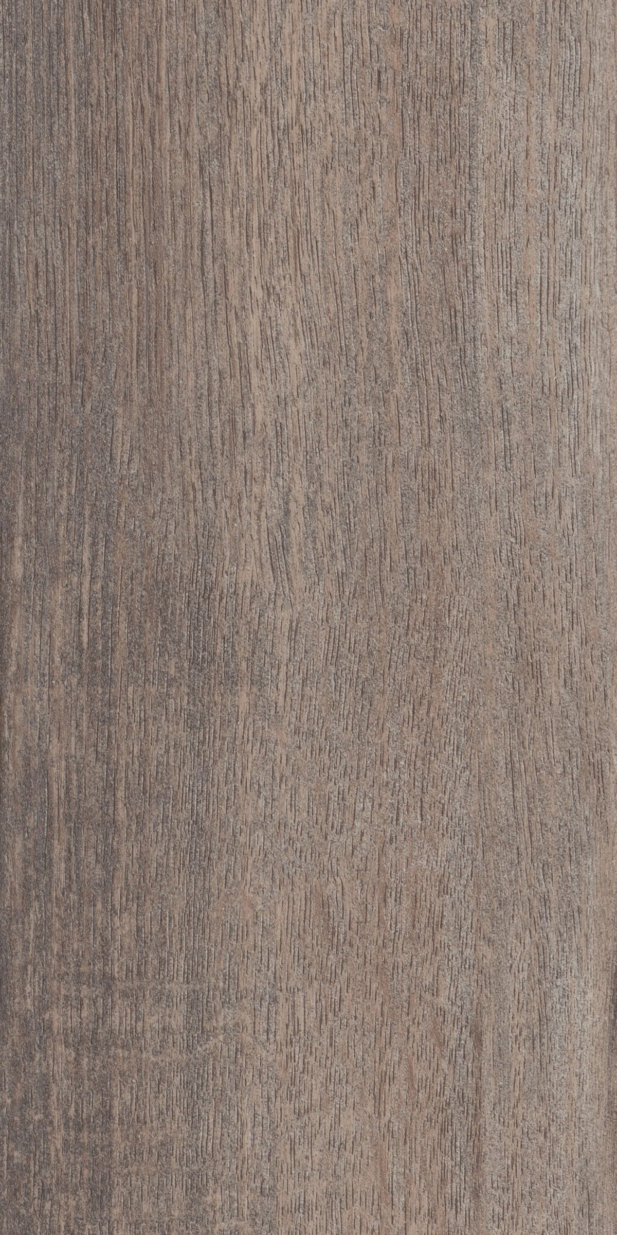 Shaw Westwork Gadsden Brown 12-mil x 6-in W x 48-in L Waterproof Glue Down Luxury Vinyl Plank Flooring (41.72-sq ft/ Carton)