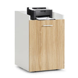 Mondawe White and Brown 2-Drawer 16.5-in File Cabinet