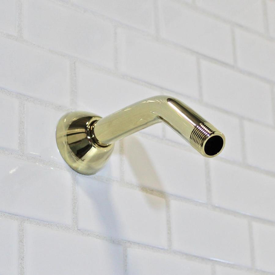 Speakman Polished Chrome Bathtub/Shower Shower Arm and Flange